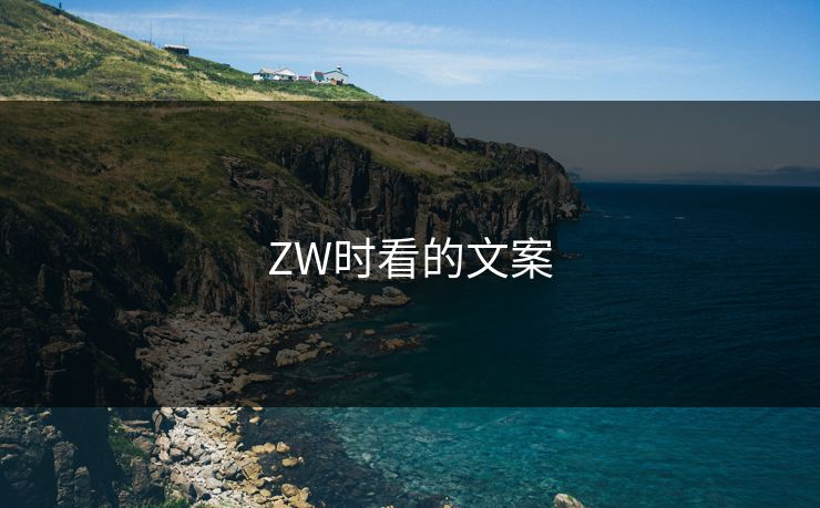 ZW时看的文案 ZW时看的文案