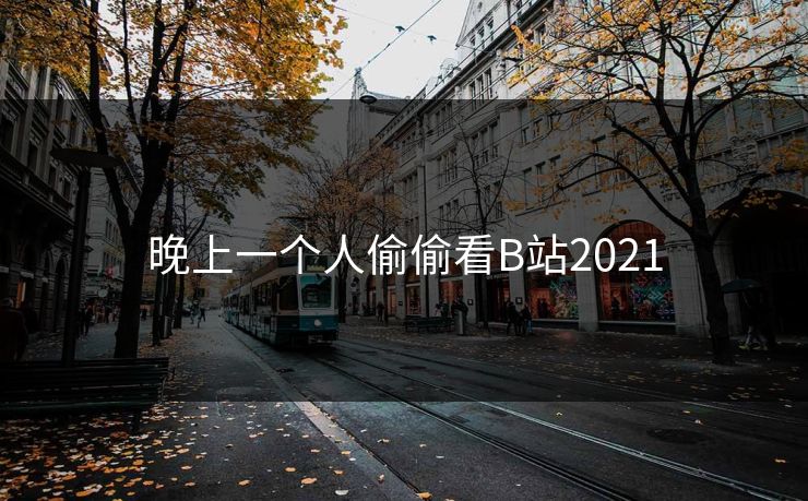 晚上一个人偷偷看B站2021