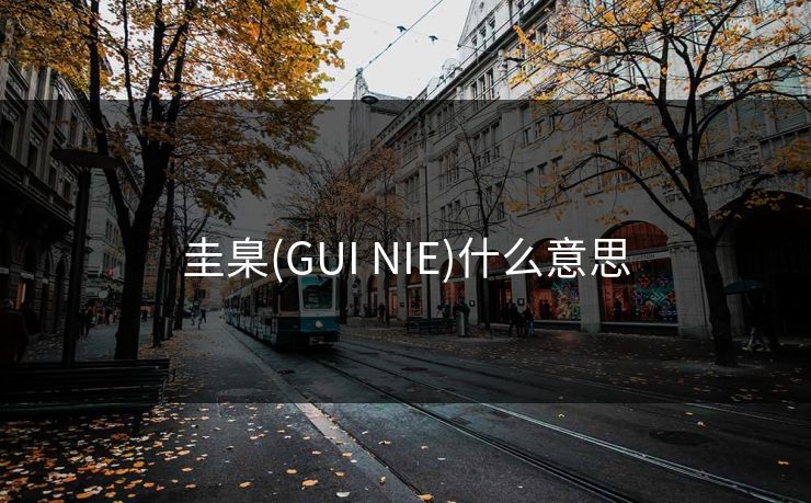圭臬(GUI NIE)什么意思