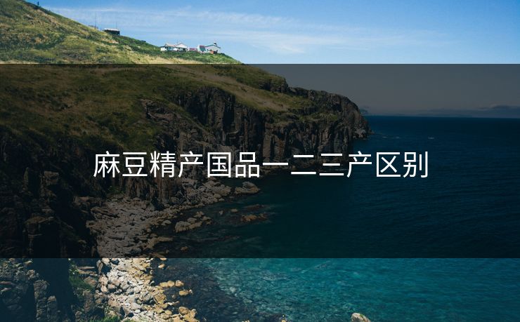 麻豆精产国品一二三产区别